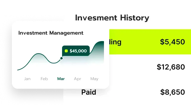 Vlaguzgovo digital investment